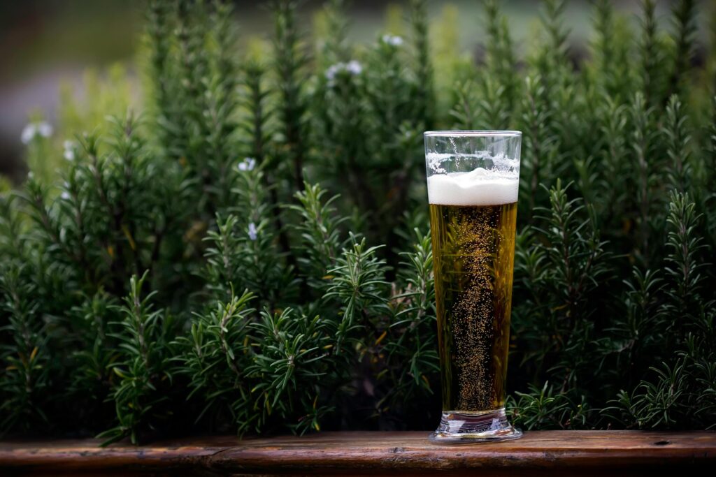 A refreshing glass of chilled beer surrounded by vibrant green plants outdoors.